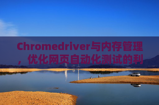 Chromedriver与内存管理，优化网页自动化测试的利器
